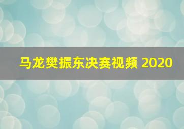 马龙樊振东决赛视频 2020